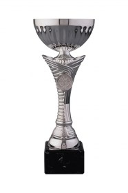 Cupe Sportive CE 05